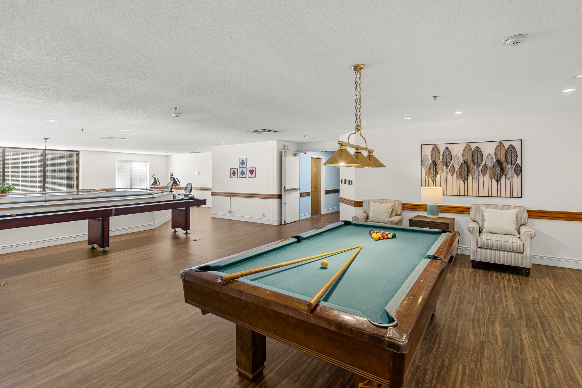 Independence-Village-of-Olde-Raleigh-IV-032 Game Area-1